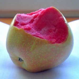 Яблоня "Pink Pearl"